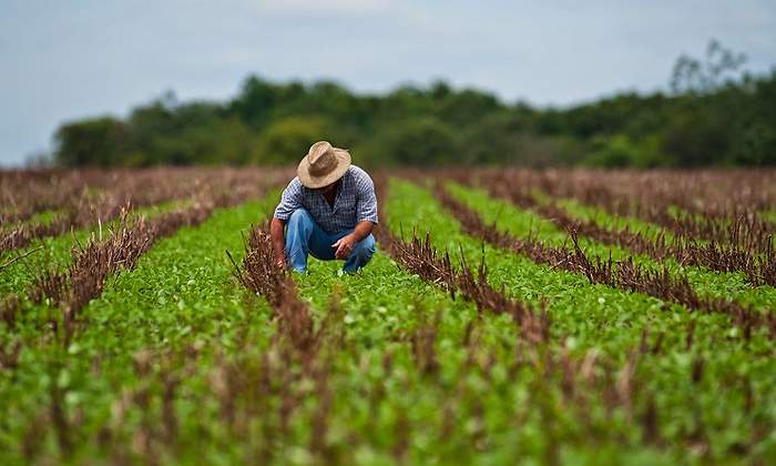 agro770.jpg