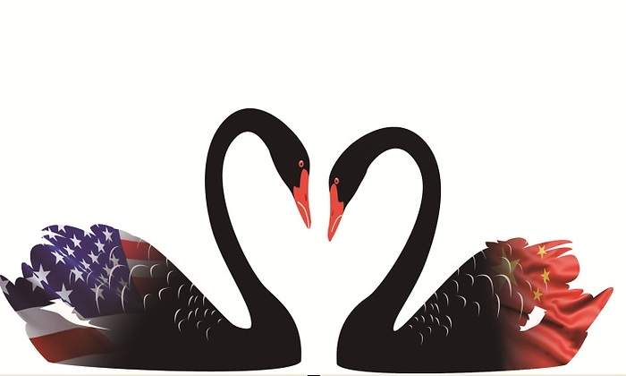 cisne-negro-eeuu-china-ee.jpg
