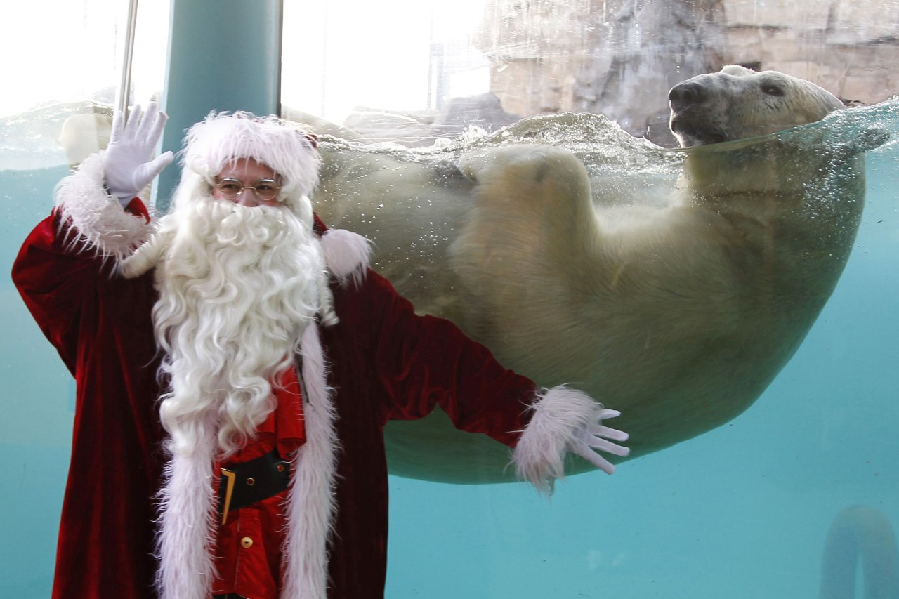 Papa Noel visita a un oso