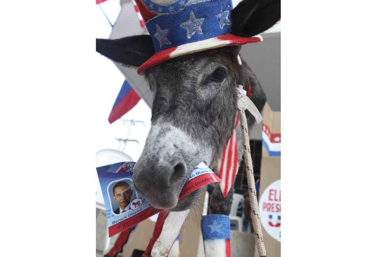 Un burro fanático de su país
