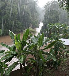 lluvia-monzon.jpg