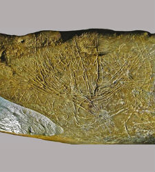 mapa-paleolitico.jpg