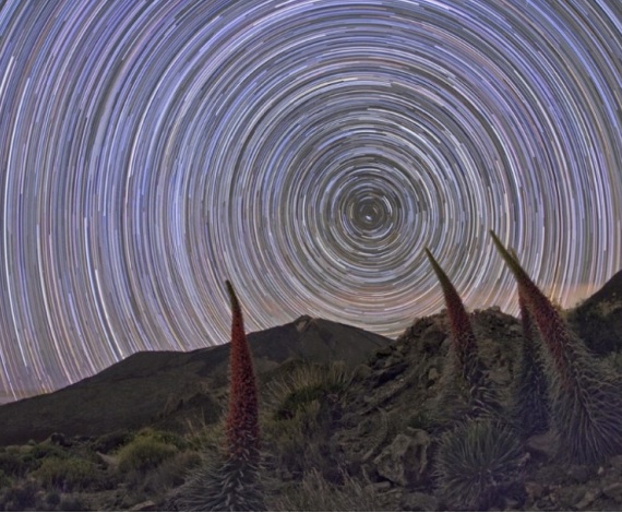 El rastro de las estrellas