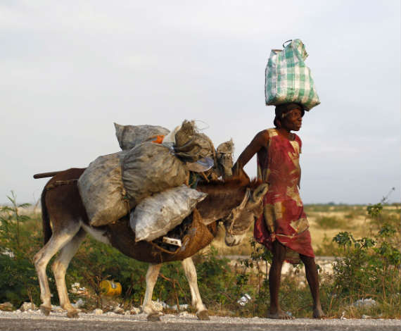 Haitiana junto a su burro