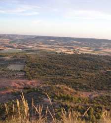 paraje.jpg