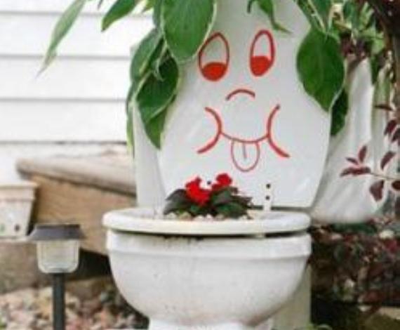 No plantes dos inodoros en tu jardín
