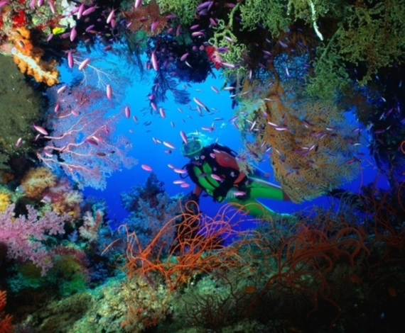 Cueva submarina, Islas Fiji