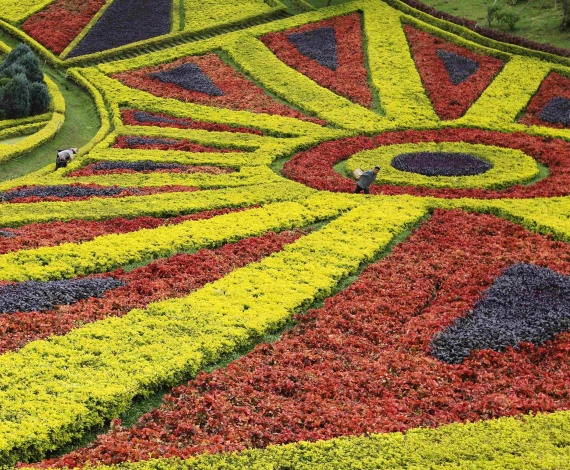 Jardines cuidados hasta el más mínimo detalle