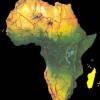 africa.jpg
