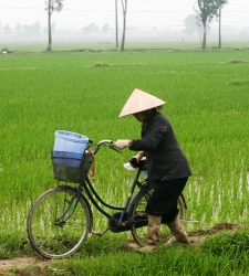 chino_bicicleta.jpg