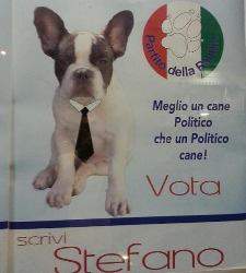 perro-sicilia.jpg