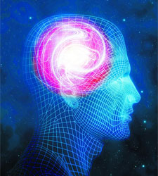 cerebro.jpg