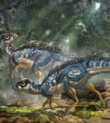 tianyulong.jpg