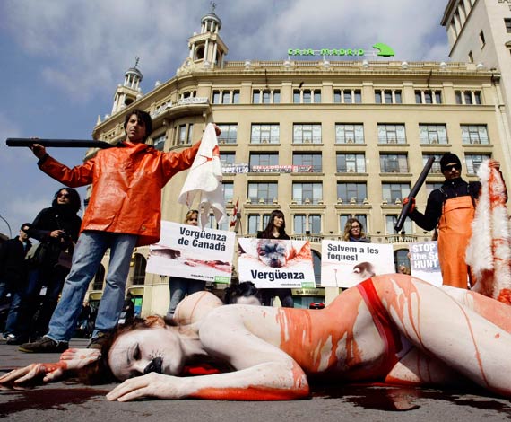 Barcelona denuncia la caza de focas