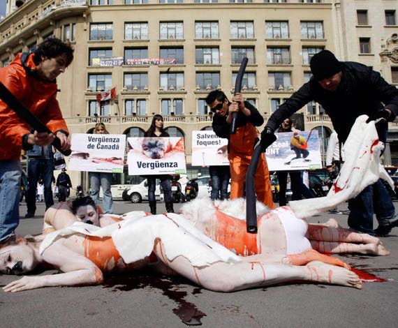 Barcelona denuncia la caza de focas