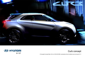 Hyundai Curb