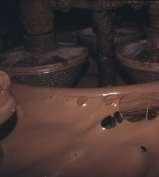 chocolate.jpg