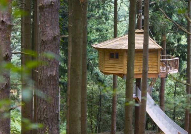 Hotel cabanes Als Arbes