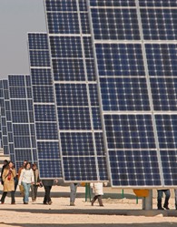 huertas_solares.jpg
