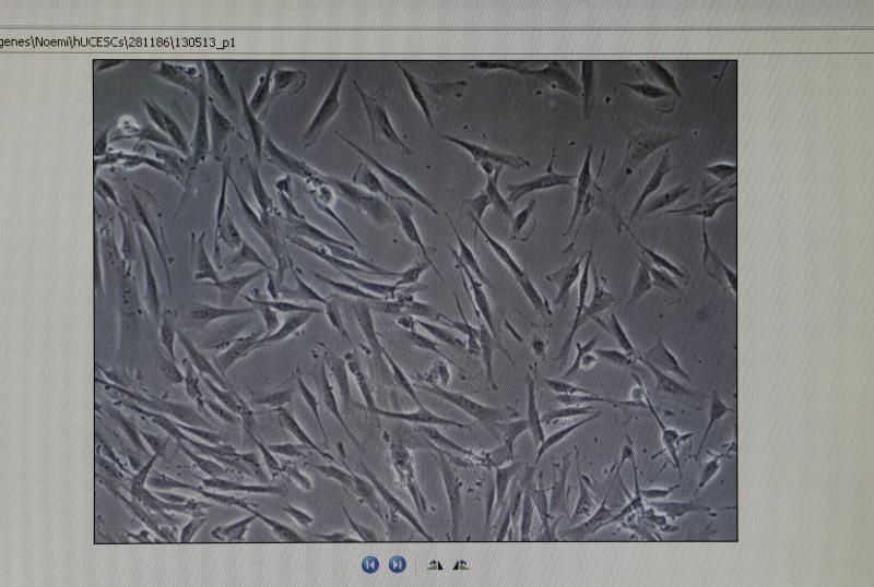 /imag/efe/2019/05/17/20190517-15434372w.jpg