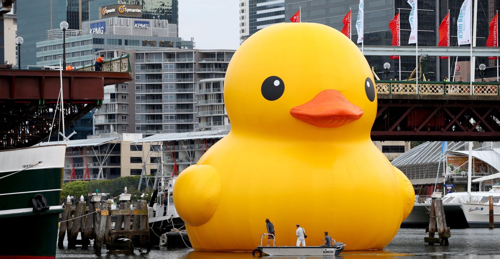 El patito gigante