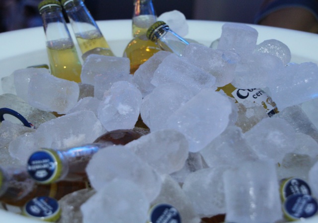 <b>Zona vip de Rock in Rio</b>